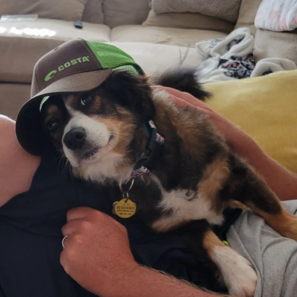 Welcome! - Picture 11 of 11